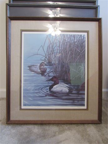 Susan Norris Barr Duck Print, Framed Numbered/Signed