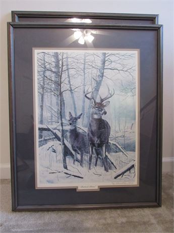Charles Denault Deer Print: "Shattered Silence", Framed Numbered/Signed