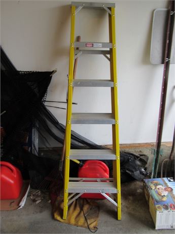 Davidson Pro Series 6' Fiberglass Ladder